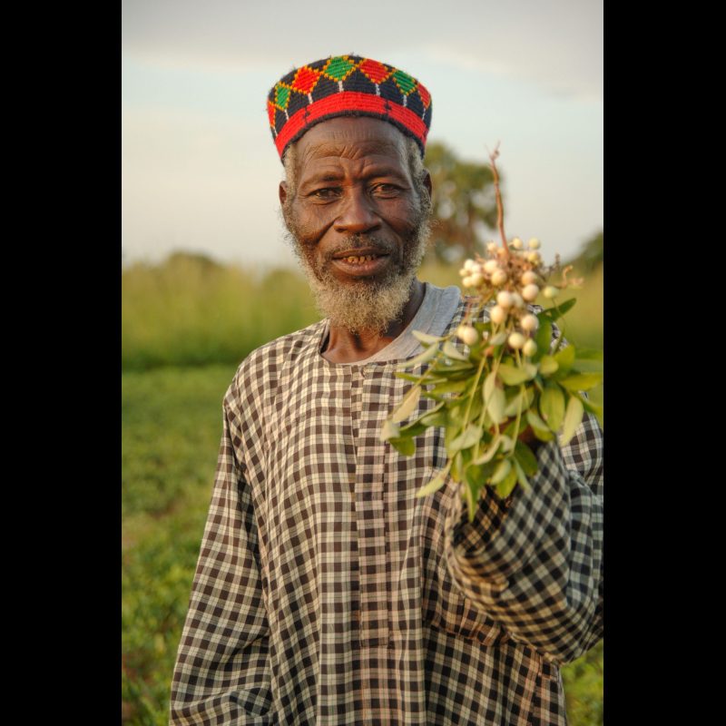 SABTENGA, Burkina Faso — In the bush village of Sabtenga, Musanai Zemnai, the Chief of the Young People, holds up freshly harvested peanuts. The Bissa people, to whom he belongs, are well known for cultivating peanuts as a staple crop in the region.