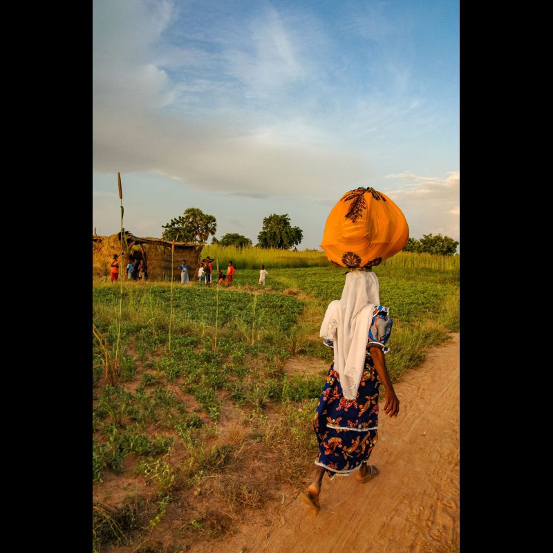 SABTENGA, Burkina Faso — A woman carries a load on her head through the bush village of Sabtenga, Burkina Faso. In rural communities like this, women often walk long distances transporting food, water, and goods as part of daily life.