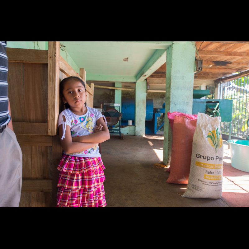 SALVADOR URBINA, Mexico — A young girl spends time at the Café Justo Cooperative office while her father roasts coffee in Salvador Urbina, Chiapas, Mexico. The family-run cooperative empowers local farmers through fair trade coffee production.