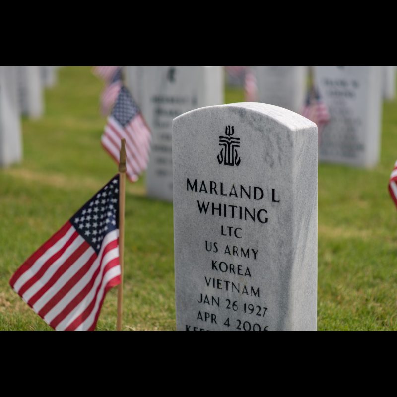 Memorial Day @ Georgia National Cemetery