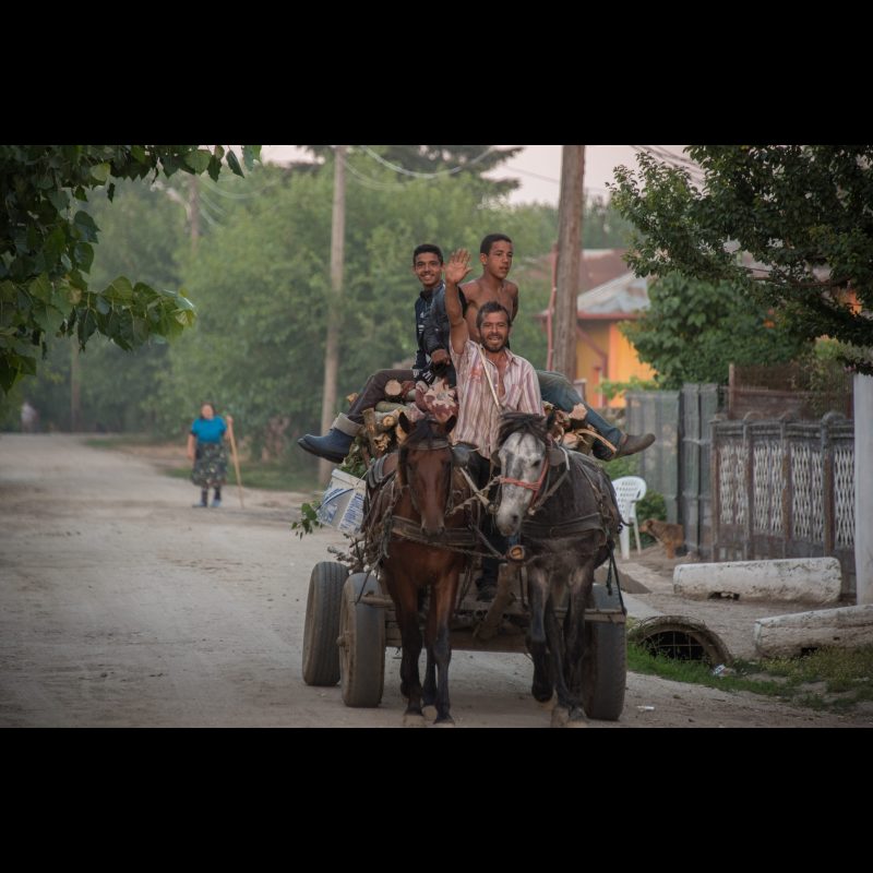 A man waves from a horse-drawn cart in Herăști, Romania. The boys’ joyful expressions, the firewood load, and the rural setting reflect a slower, tradition-rich way of life rooted in community and hard work.