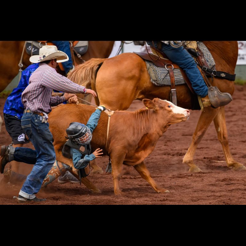 The young boy’s hand got stuck in the rope on the calf, and he was dragged across the ring. Eventually, the cowboys rescued him during the Panaewa Stampede Rodeo, which is held at Equestrian Center Complex, Stainback Highway, Hilo, Hawaii.